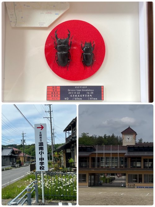 産地への返還第2弾～😁