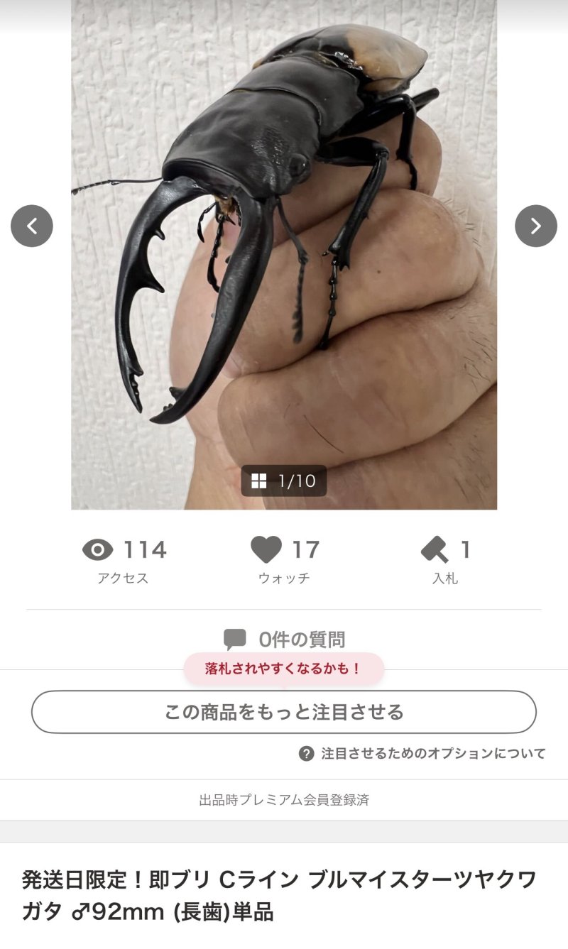 ヤフオク出品中～😏