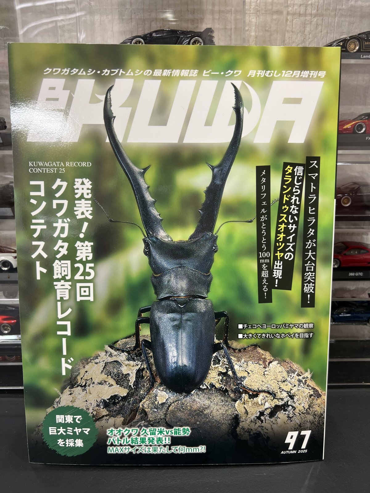 BE-KUWA No.97 秋号 入荷~😃/