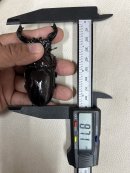 画像: 90mmの壁は高し~😅