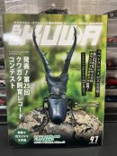 画像: BE-KUWA No.97 秋号 入荷~😃/