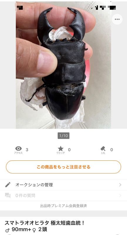 画像: ヤフオク出品中～!(^^)!