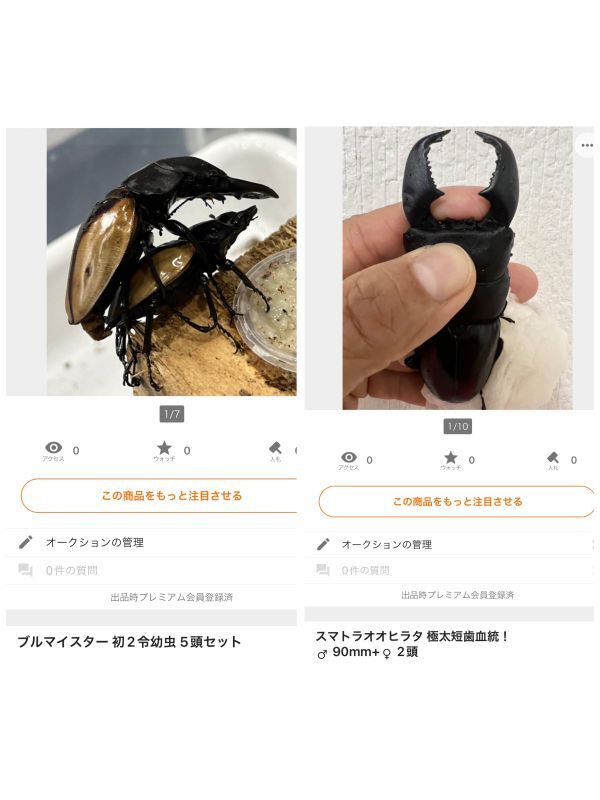 画像: ヤフオク出品しました～(^^)/