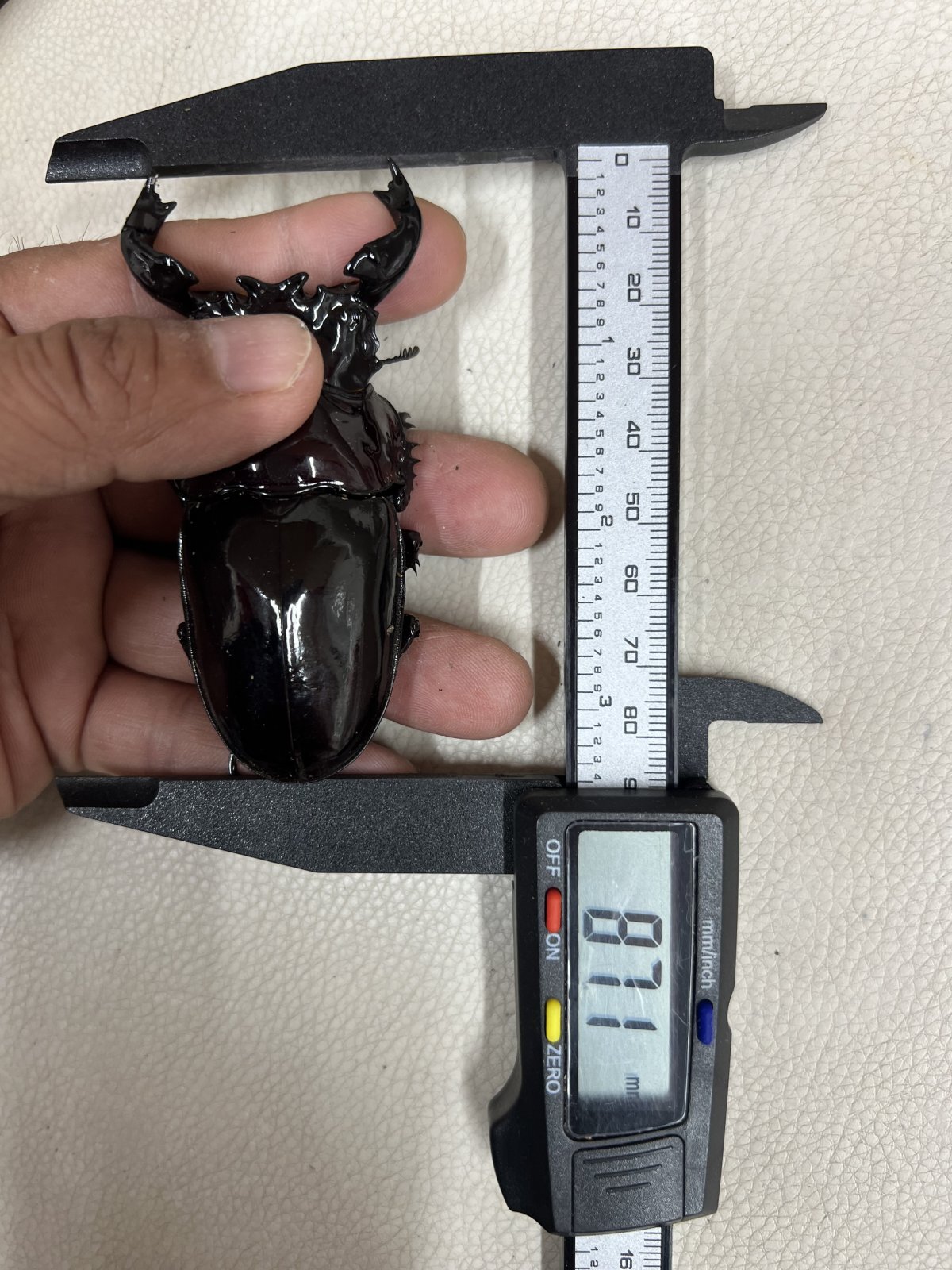 画像: 90mmの壁は高し~😅